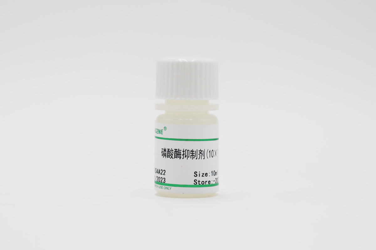 磷酸酶抑制劑(10×)