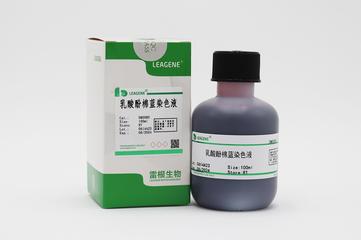 乳酸酚棉藍染色液