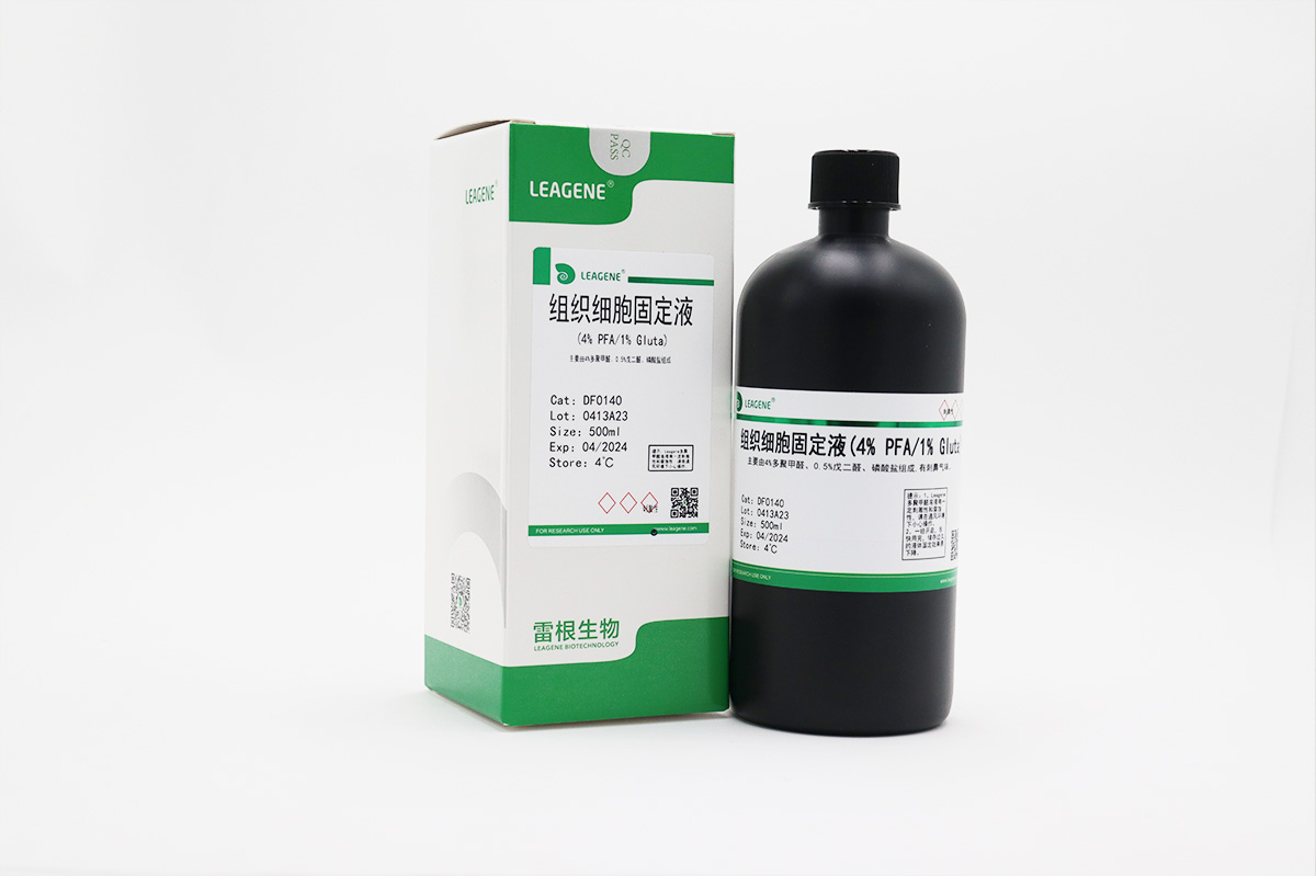 組織細(xì)胞固定液(4% PFA/1% Gluta)
