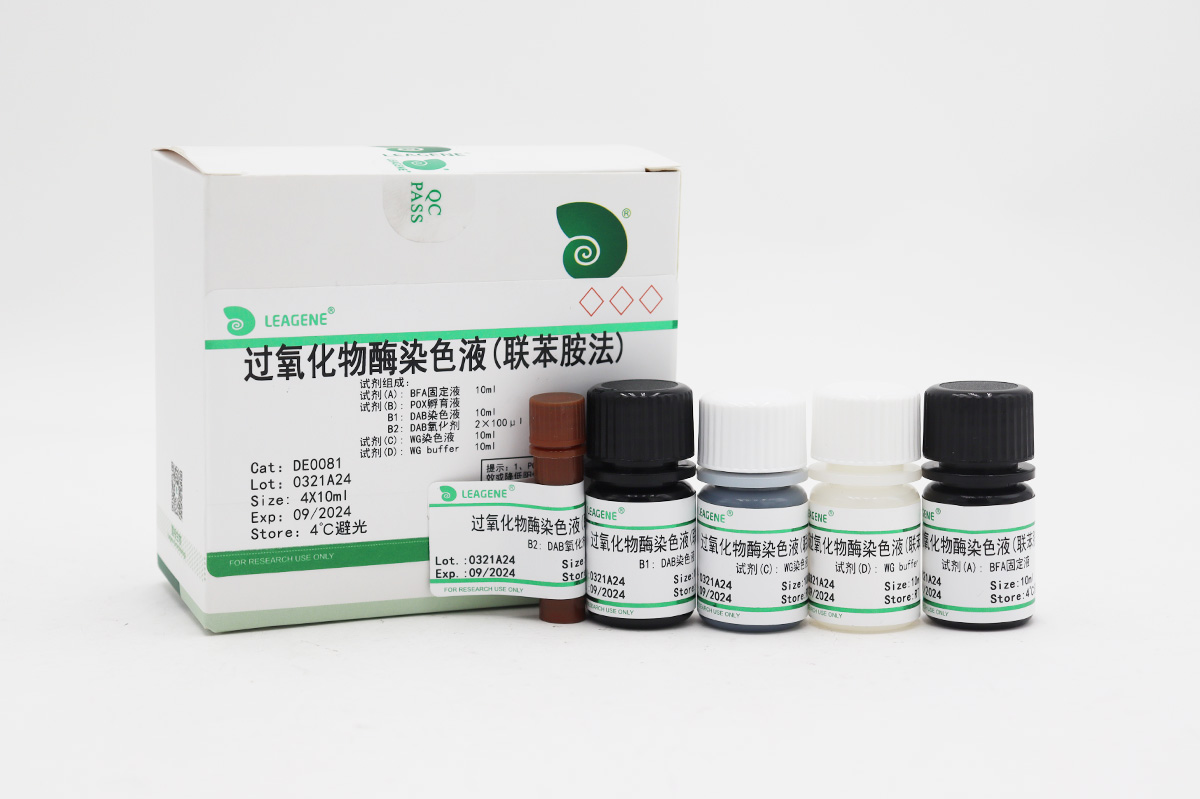 過(guò)氧化物酶染色液(聯(lián)苯胺法)