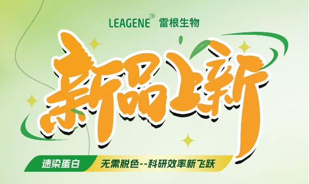 最新力作【考馬斯亮藍(lán)快速染色液（免脫色版）】，正式加入我們的產(chǎn)品家族！